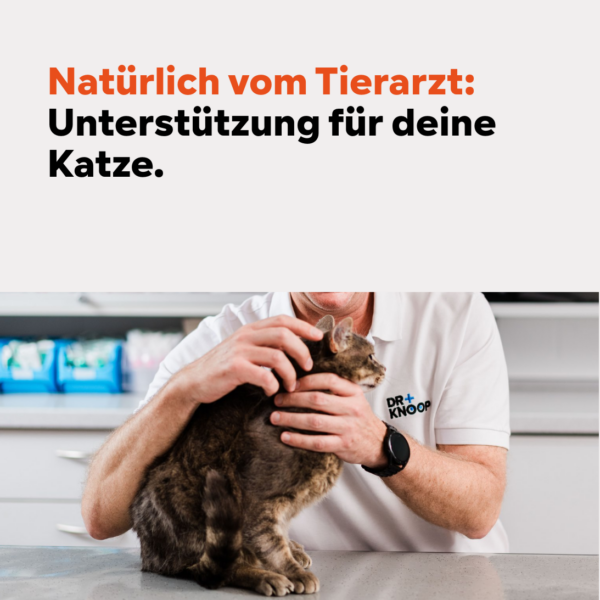 Katze Nahrungsergänzung, Omega-3, Fellpflege – Ihr Partner für Tiernahrungsergänzungsmittel